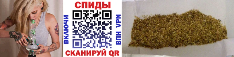 дарк нет официальный сайт  Данилов  Бутират BDO  hydra как войти 