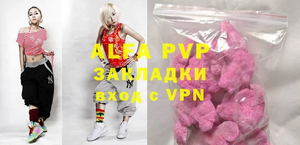 стаф Алексин