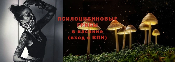 шишки Алексеевка