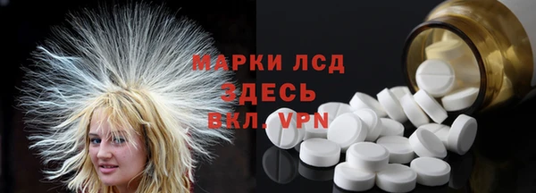 стаф Алексин