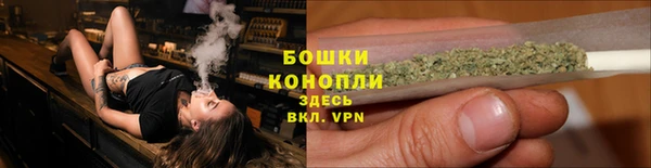 мяу мяу мука Абаза