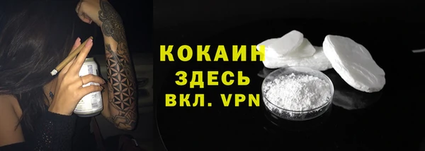 мяу мяу мука Алзамай