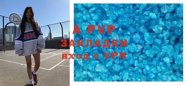 стаф Алексин