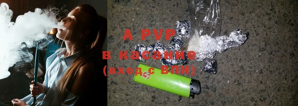 ПСИЛОЦИБИНОВЫЕ ГРИБЫ Покачи