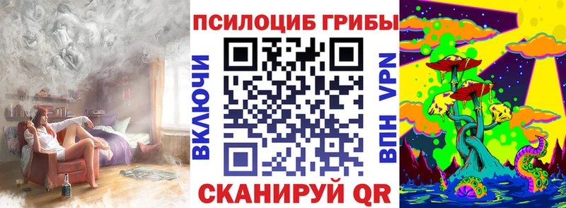 blacksprut зеркало Данилов Псилоцибиновые грибы ЛСД